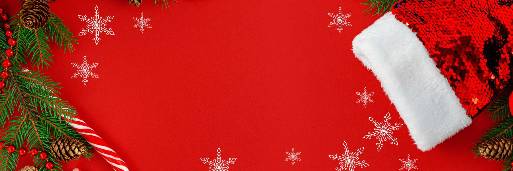 Holiday Collection 2025