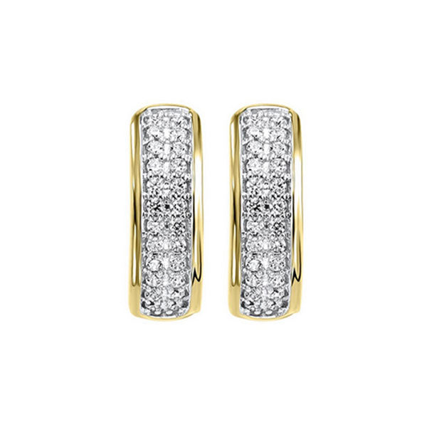 10Kt Yellow Gold Diamond 1/4Ctw Earring