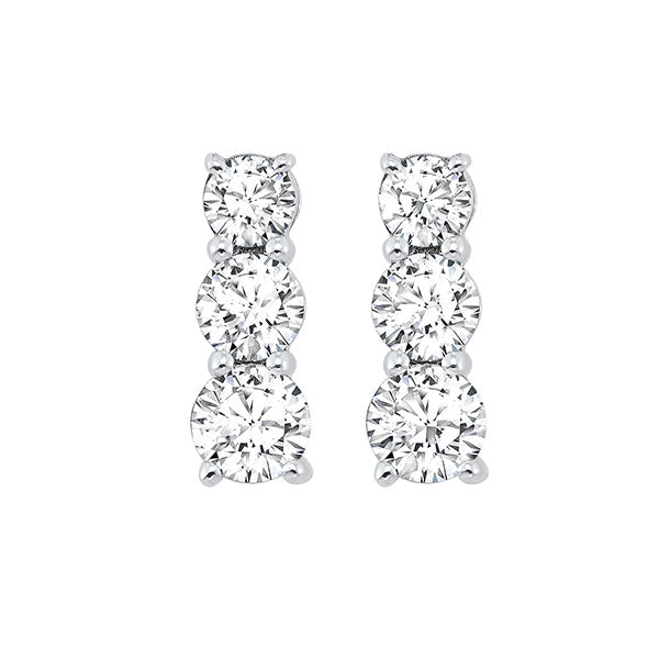 14Kt White Gold Diamond 1/2Ctw Earring