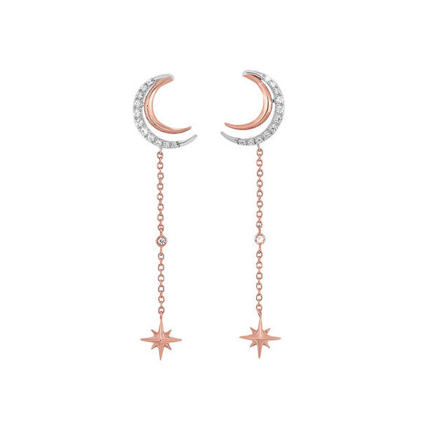 14Kt White Rose Gold Diamond 1/6Ctw Earring