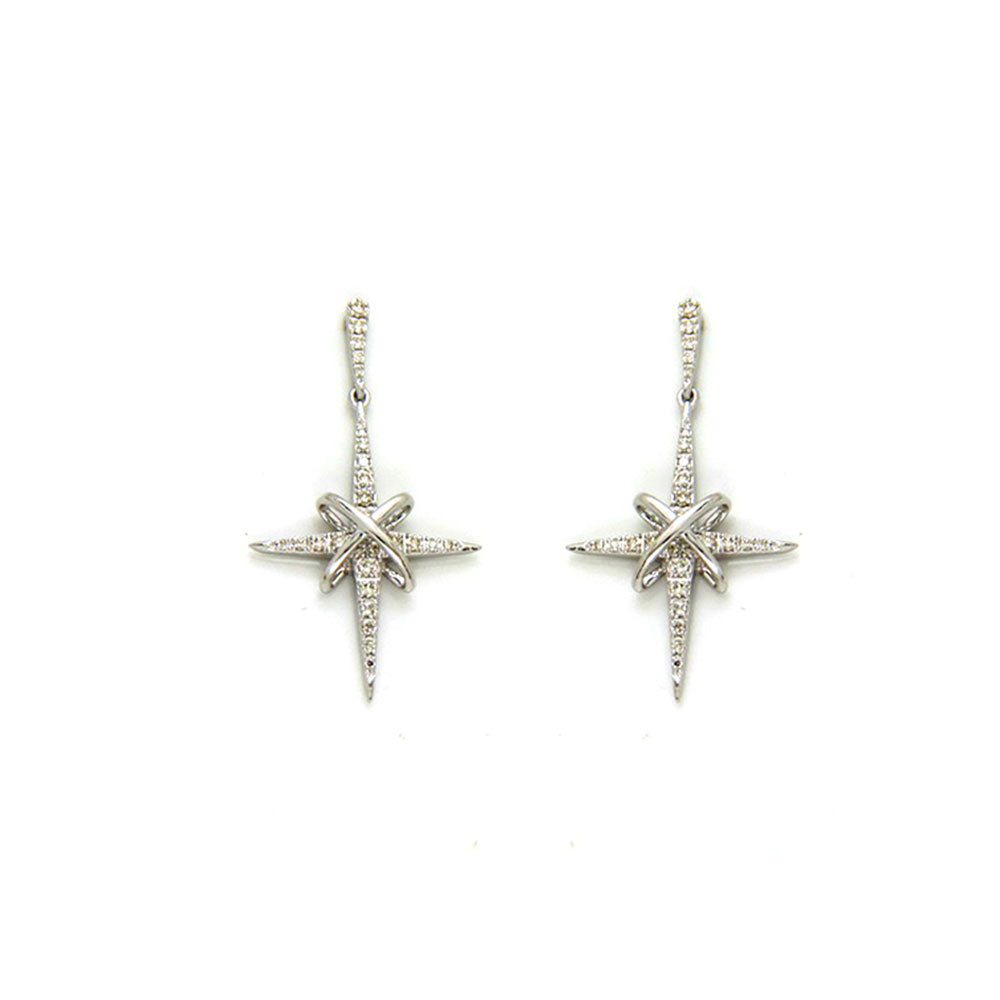 14Kt White Gold Diamond 1/2Ctw Earring