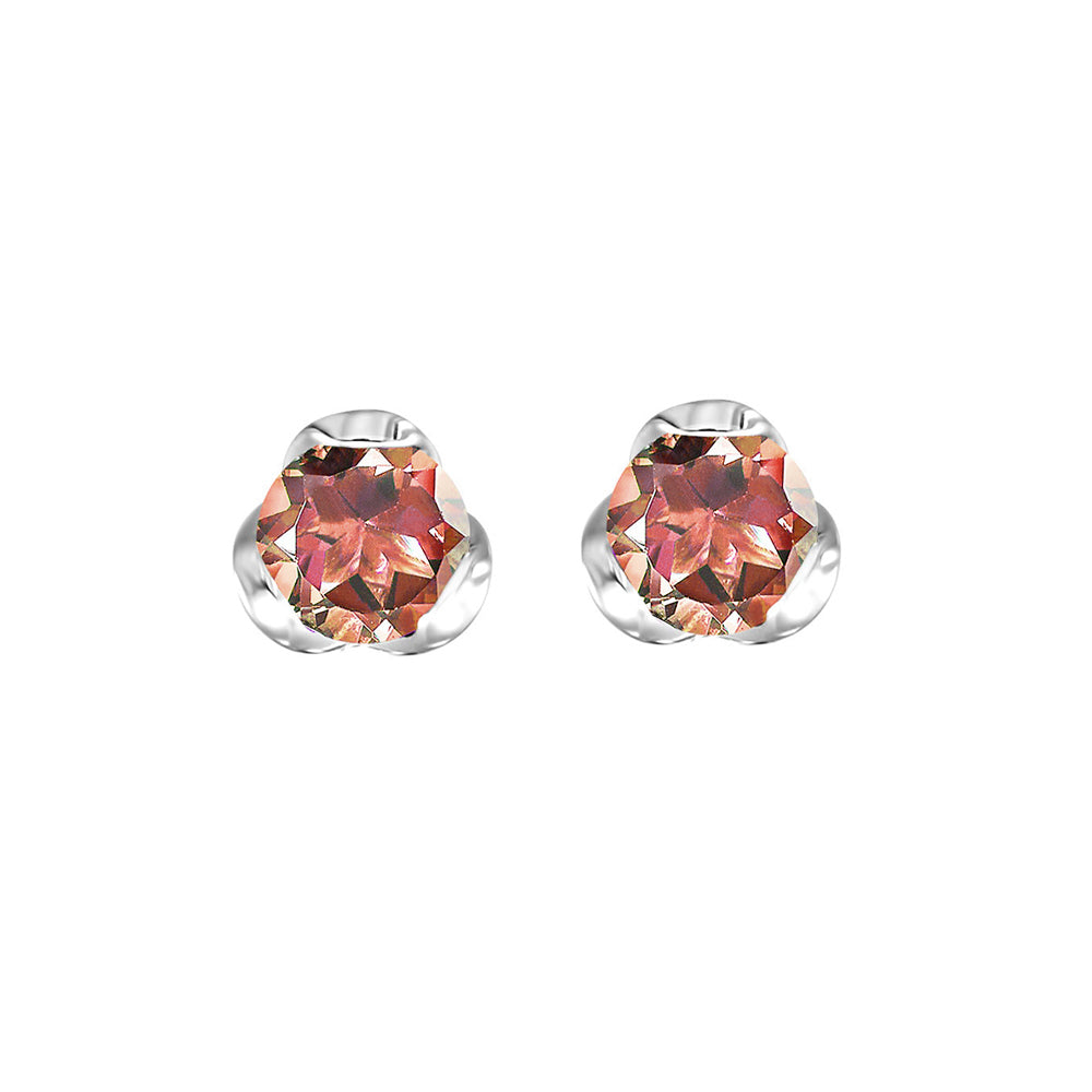 Silver Garnet 5/8Ctw Earring