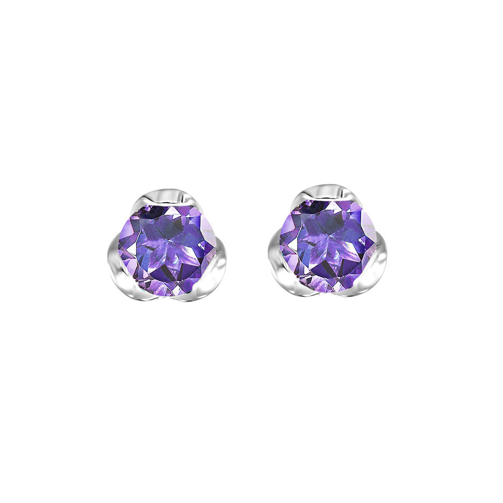 Silver & Amethyst 5/8Ctw Earring