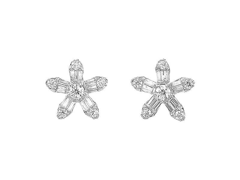 10Kt White Gold Diamond 1/3Ctw Earring