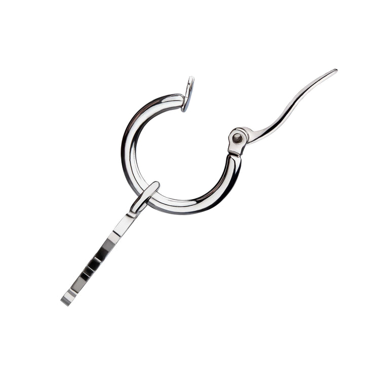Stainless Steel Hoop Earrings with Scorpio Charm