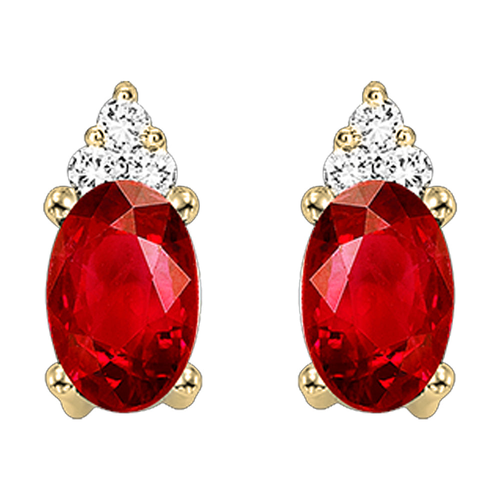10Kt Yellow Gold Diamond 1/25Ctw & Garnet 5/8Ctw Earring