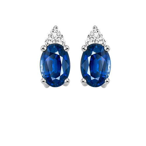 10Kt White Gold Diamond 1/25Ctw & Sapphire 1/4Ctw Earring