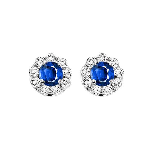 14Kt White Gold Diamond 3/4Ctw & Sapphire 5/8Ctw Earring