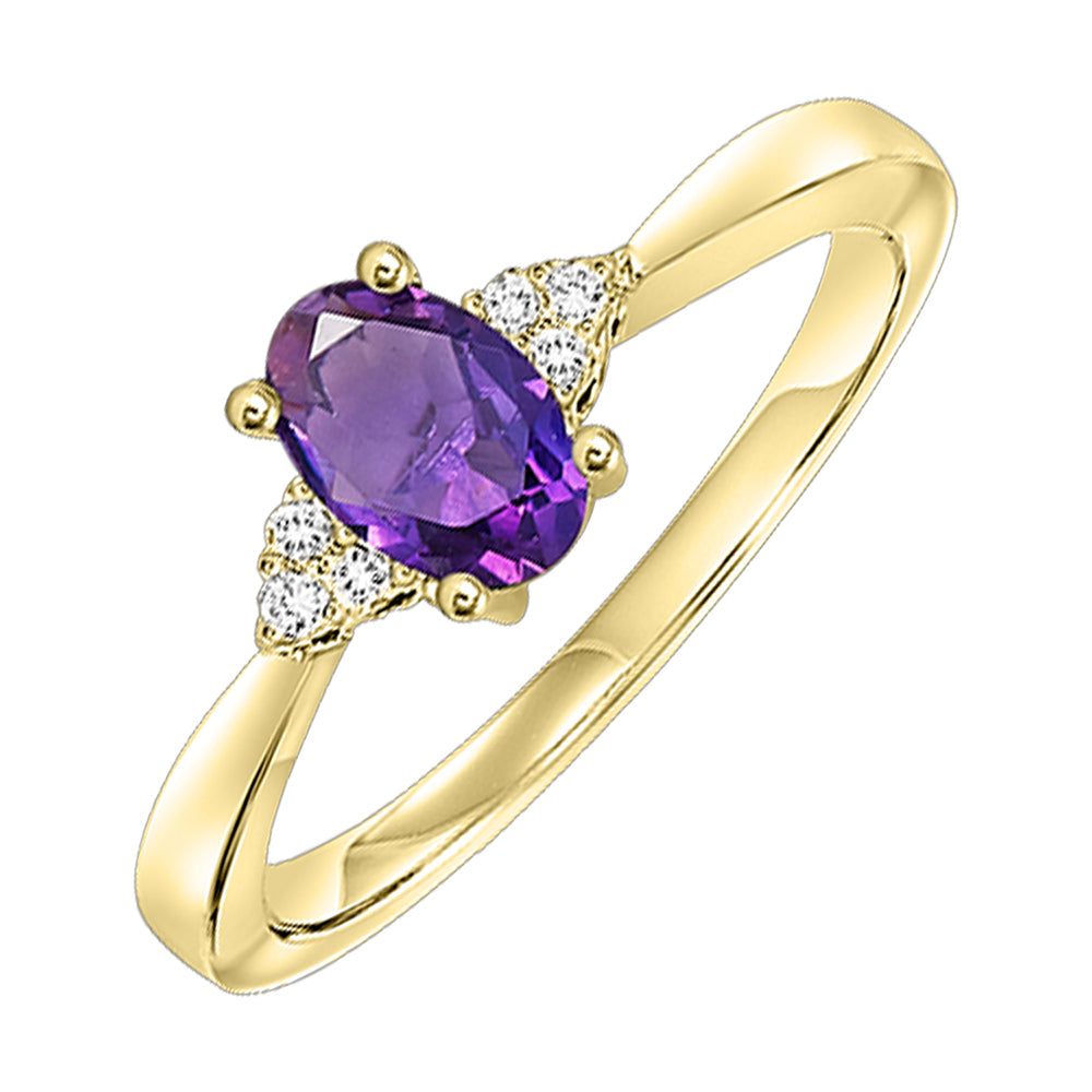 10Kt Yellow Gold Diamond 1/20Ctw & Amethyst 3/8Ctw Ring
