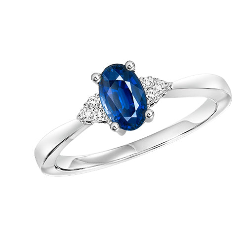 10Kt White Gold Diamond 1/25Ctw & Sapphire 1/2Ctw Ring