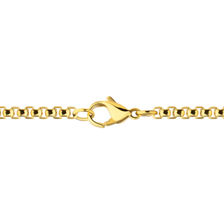 18Kt Gold IP Steel CNC Set Lab-Grown Diamond Zebra Cross Pendant with Box Chain