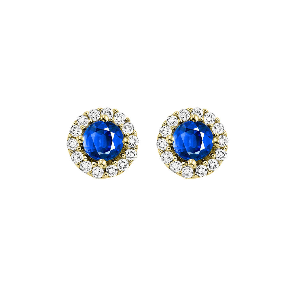 14Kt Yellow Gold Diamond 1/7Ctw & Sapphire 1/3Ctw Earring