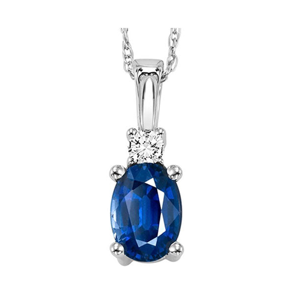 14Kt White Gold Diamond 1/25Ctw & Sapphire 5/8Ctw Pendant
