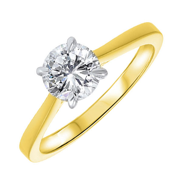 14Kt White Yellow Gold Diamond 1/3Ctw Ring