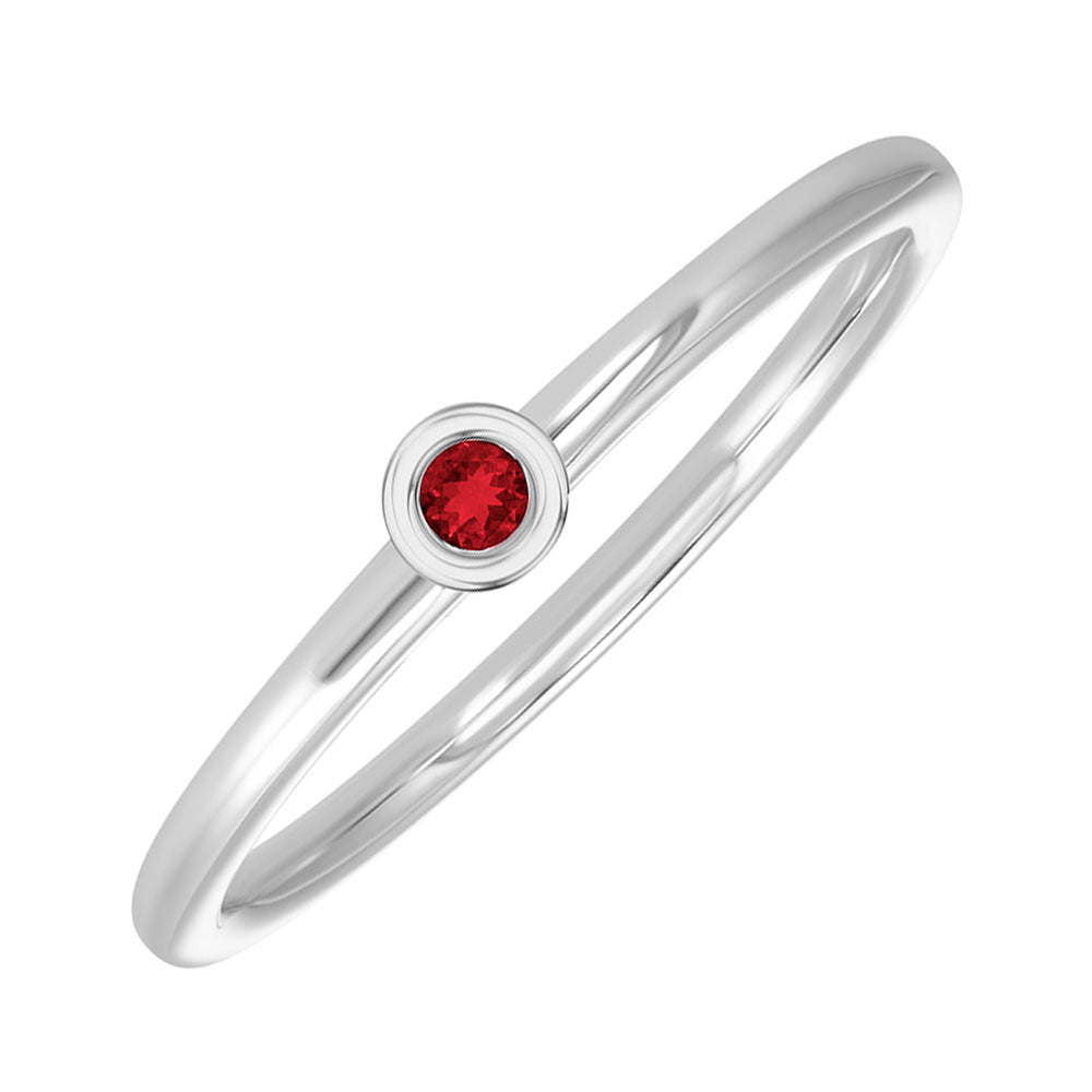 10Kt White Gold & Garnet 1/25Ctw Ring