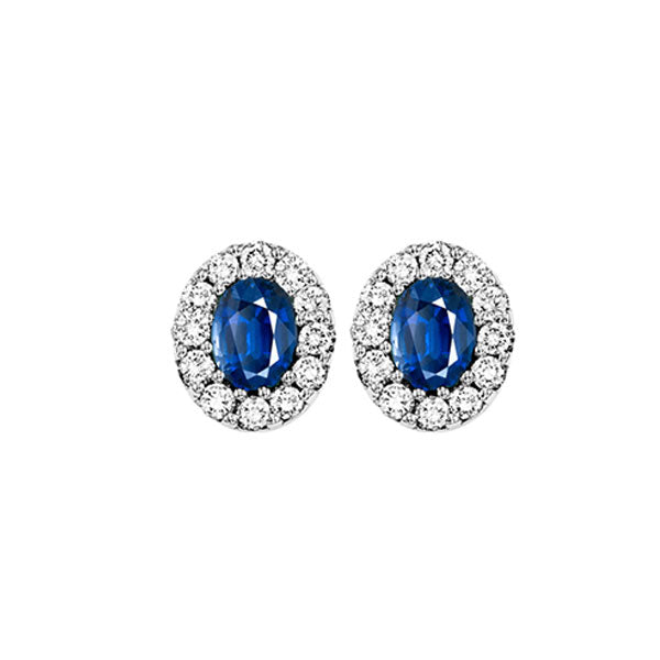 14Kt White Gold Diamond 1/4Ctw & Sapphire 1/3Ctw Earring