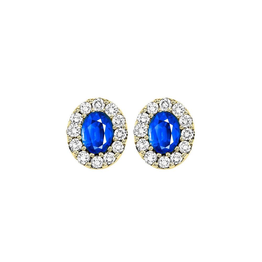 14Kt Yellow Gold Diamond 1/5Ctw & Sapphire 1/3Ctw Earring