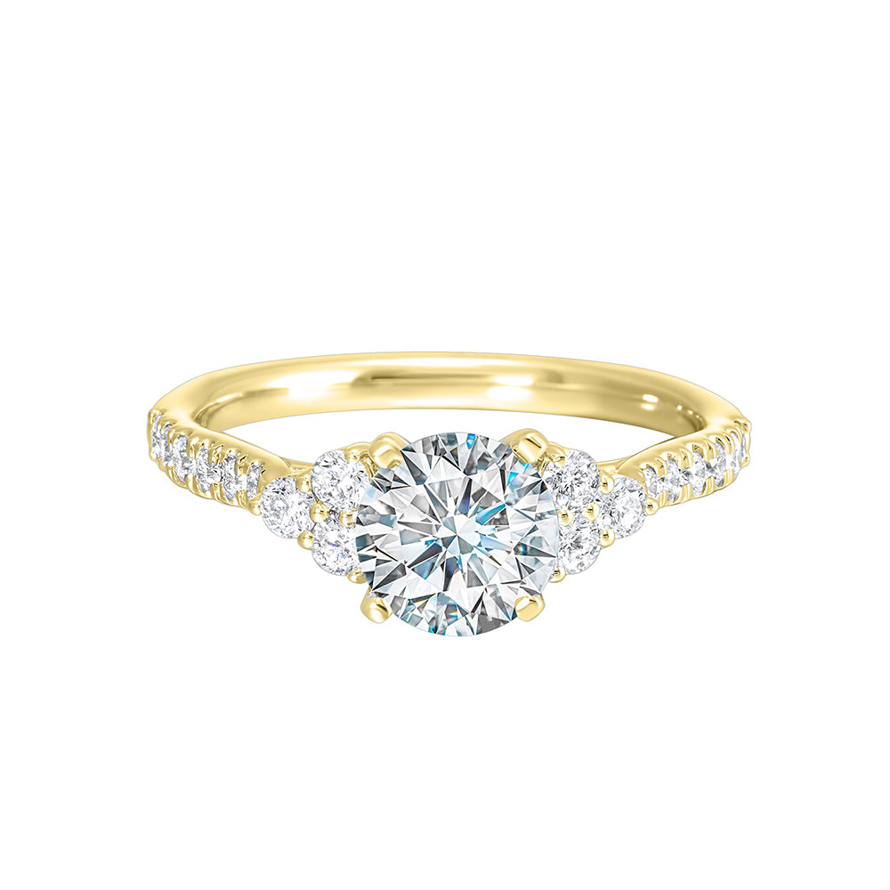 A trio of round diamonds on either side of the solitaire followed by a diamond studded shank,  this ring is sure to impress her.