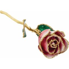 Frank Jewelers Lacquered Frozen White & Red Rose with Gold Trim