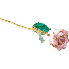 Frank Jewelers Lacquered Cream Picasso Rose with Gold Trim